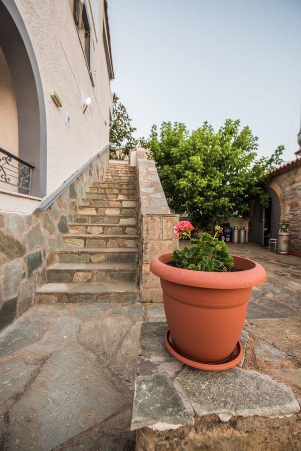 Potamaki Studios & Apartments Stoúpa Exterior foto